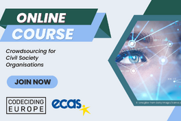 Online Course: Crowdsourcing for Civil Society Organizations